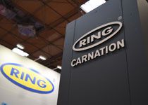 Ring Carnation "On Board With You" at 2019 CV Show
