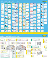 6V and 12V Bulb Wall Chart