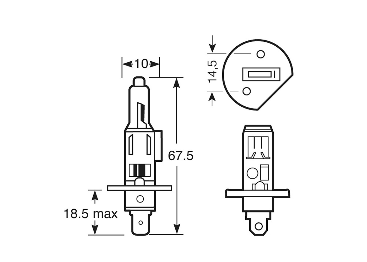 KFZ 13013: KFZ-Lampe, H1, P14,5s, Standard, 1er-Pack bei reichelt