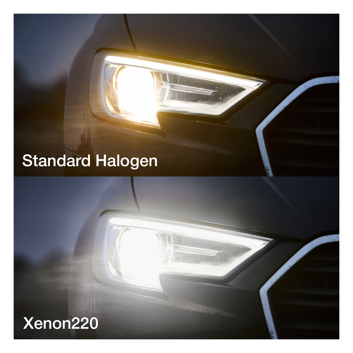 Xenon220 Comparison