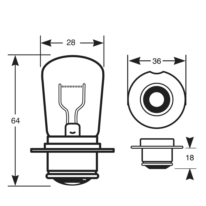 P36s-Transverseshared